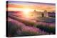 Sun Is Setting over a Beautiful Purple Lavender Filed in Valensole. Provence, France-Beatrice Preve-Premier Image Canvas