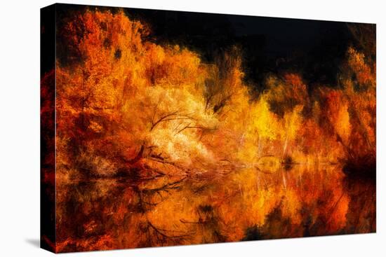 Sun Kissed-Philippe Sainte-Laudy-Premier Image Canvas