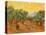Sun over Olive Grove, 1889-Vincent van Gogh-Premier Image Canvas