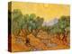 Sun over Olive Grove, 1889-Vincent van Gogh-Premier Image Canvas