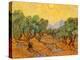 Sun over Olive Grove, 1889-Vincent van Gogh-Premier Image Canvas