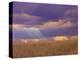 Sun Rays in the Afternoon Storm Clouds, Maasai Mara, Kenya-Joe Restuccia III-Premier Image Canvas