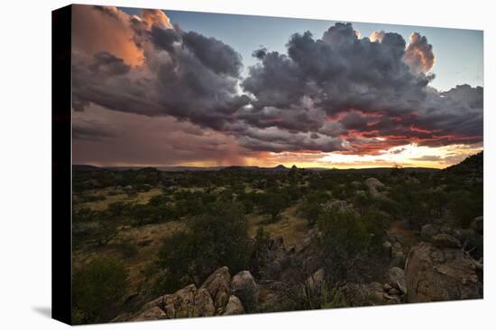 Sun Sets On Mopane Trees & Granite Boulders, Rain Storm Travels Damaraland, Hoada (Grootberg Lodge)-Karine Aigner-Premier Image Canvas