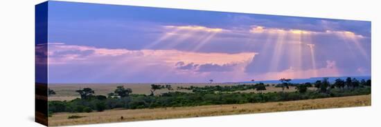 Sun Setting on the Masai Mara, Kenya-Joe Restuccia III-Premier Image Canvas