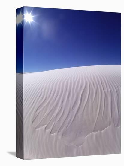 Sun Shining on Desert Sand-Jim Zuckerman-Premier Image Canvas