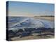 Sun Soaked-Bruce Dumas-Premier Image Canvas