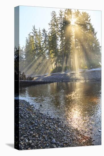 Sun streaming through trees, Juan De Fuca Trail, near Jordan River, Vancouver Island, British Colum-Stuart Westmorland-Premier Image Canvas