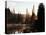 Sunbeam and Trees Reflecting in Lake, Mount Rainier National Park, Washington, USA-Adam Jones-Premier Image Canvas