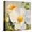 Sunbeam Flowers II-Lanie Loreth-Stretched Canvas