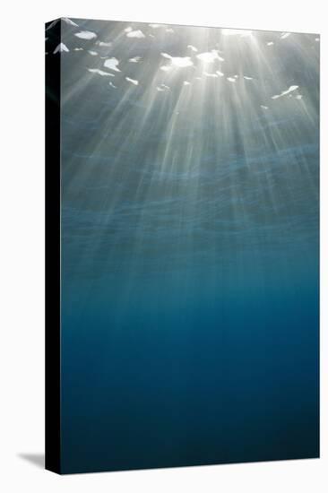 Sunbeams Filtering through the Ocean Surface-Reinhard Dirscherl-Premier Image Canvas