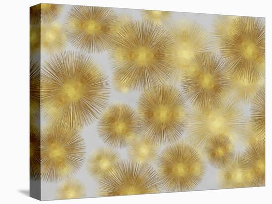 Sunburst Cluster-Abby Young-Stretched Canvas