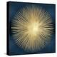 Sunburst Gold on Blue I-Abby Young-Stretched Canvas