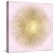 Sunburst Gold on Pink Blush I-Abby Young-Stretched Canvas