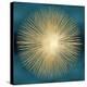 Sunburst Gold on Teal I-Abby Young-Stretched Canvas