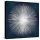 Sunburst on Dark Blue I-Abby Young-Stretched Canvas