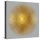 Sunburst on Grey I-Abby Young-Stretched Canvas