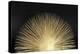 Sunburst Rising on Black-Abby Young-Stretched Canvas