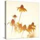 Sundown Flowers-Mandy Lynne-Stretched Canvas