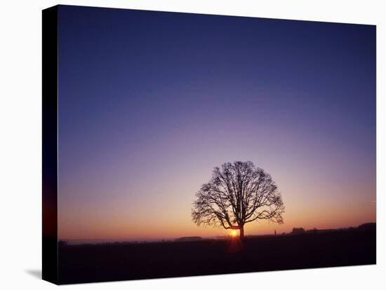 Sundown-PhotoINC-Premier Image Canvas