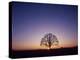 Sundown-PhotoINC-Premier Image Canvas