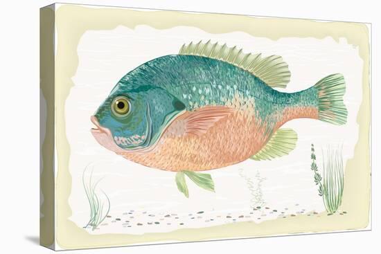 Sunfish on Retro Style Background-Milovelen-Stretched Canvas