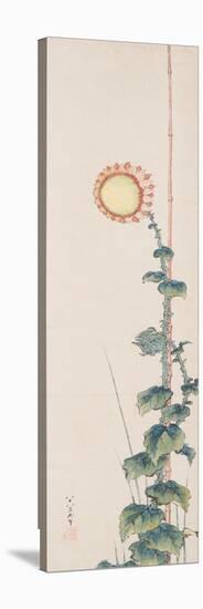 Sunflower, 1848 (Ink & Colour on Paper)-Katsushika Hokusai-Premier Image Canvas