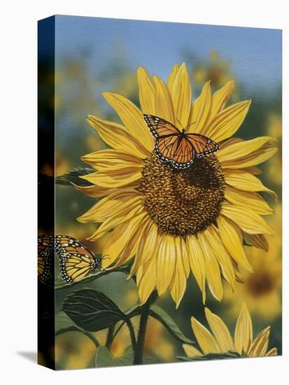 Sunflower and Butterflies-William Vanderdasson-Premier Image Canvas