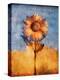 Sunflower and Sky-Colin Anderson-Premier Image Canvas