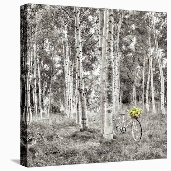 Sunflower Bicycle Ride-Alan Blaustein-Stretched Canvas