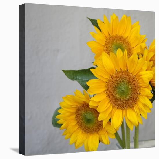 Sunflower Bouquet-Nicole Katano-Stretched Canvas