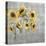 Sunflower Burst-Mark Chandon-Stretched Canvas