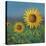 Sunflower Field II-David Swanagin-Stretched Canvas