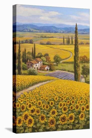 Sunflower Field-Sung Kim-Stretched Canvas