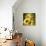 Sunflower Girl-Atelier Sommerland-Stretched Canvas displayed on a wall