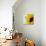 Sunflower (Helianthus Annuus)-Cristina-Premier Image Canvas displayed on a wall