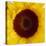 Sunflower (Helianthus Annuus)-Cristina-Premier Image Canvas