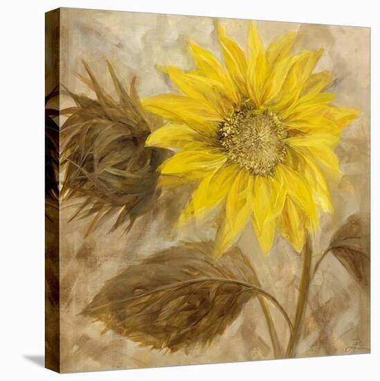 Sunflower III-li bo-Premier Image Canvas