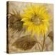 Sunflower III-li bo-Premier Image Canvas