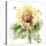 Sunflower Meadow III-Katrina Pete-Stretched Canvas