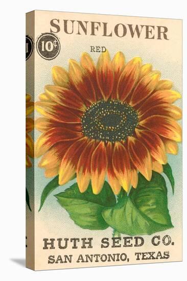 Sunflower Seed Packet-null-Stretched Canvas