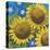 Sunflower Time-Kathrine Lovell-Stretched Canvas