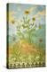 Sunflowers and Poppies; Soucis Et Pavots, 1899-Paul Ranson-Premier Image Canvas