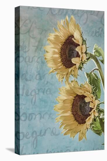 Sunflowers II-Kathy Mahan-Premier Image Canvas