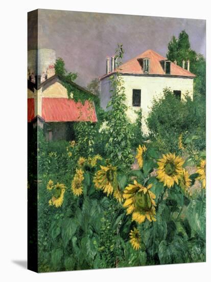 Sunflowers in the Garden at Petit Gennevilliers-Gustave Caillebotte-Premier Image Canvas