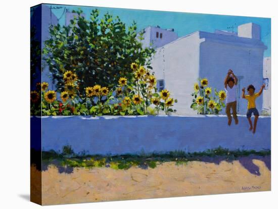 Sunflowers,morning,Galicia,-Andrew Macara-Premier Image Canvas