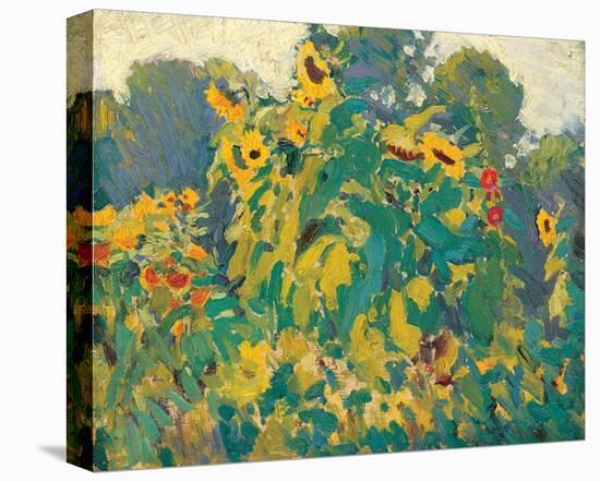 Sunflowers, Thornhill-J^ E^ H^ MacDonald-Stretched Canvas
