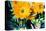 Sunflowers With Paint Effect-null-Stretched Canvas