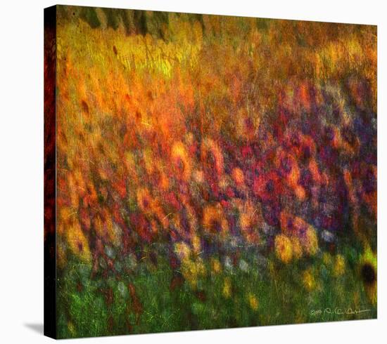 Sunflowers-Chris Vest-Stretched Canvas