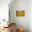 Sunflowers-Piotr Krol-Premier Image Canvas displayed on a wall