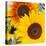 Sunflowers-DLILLC-Premier Image Canvas